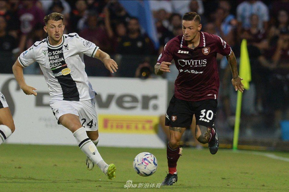 并形成了自 并形成了自